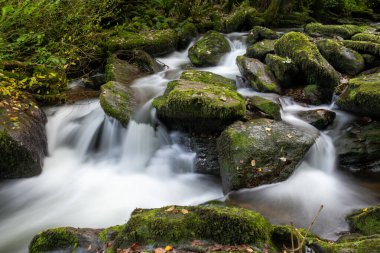 Exmoor Ulusal Parkı 'ndaki Watersmeet' te Hoar Oak Nehri 'nde uzun süre bir şelale görüldü.