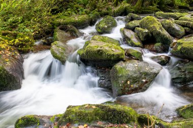 Exmoor Ulusal Parkı 'ndaki Watersmeet' te Hoar Oak Nehri 'nde uzun süre bir şelale görüldü.