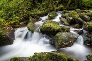 Exmoor Ulusal Parkı 'ndaki Watersmeet' te Hoar Oak Nehri 'nde uzun süre bir şelale görüldü.