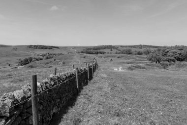 Peak District Ulusal Parkı 'ndaki Buxton Country Park' ın fotoğrafı.