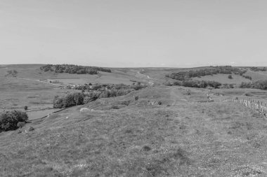 Peak District Ulusal Parkı 'ndaki Buxton Country Park' ın fotoğrafı.