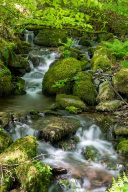 Exmoor Ulusal Parkı 'ndaki Tarr Basamakları' ndaki Barle Vadisi 'ndeki nehre akan şelaleye uzun süre maruz kalmak.