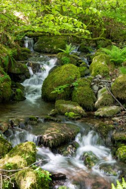Exmoor Ulusal Parkı 'ndaki Tarr Basamakları' ndaki Barle Vadisi 'ndeki nehre akan şelaleye uzun süre maruz kalmak.