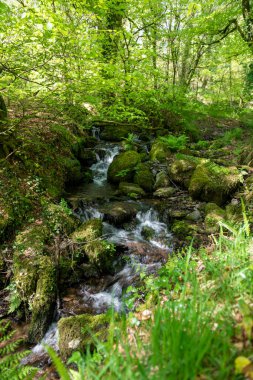 Exmoor Ulusal Parkı 'ndaki Tarr Basamakları' ndaki Barle Vadisi 'ndeki nehre akan şelaleye uzun süre maruz kalmak.