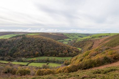 Exmoor Ulusal Parkı 'ndaki Doone Vadisi' ndeki sonbahar renklerinin manzara fotoğrafı.