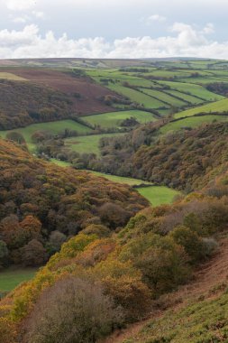 Exmoor Ulusal Parkı 'ndaki Doone Vadisi' ndeki sonbahar renklerinin manzara fotoğrafı.