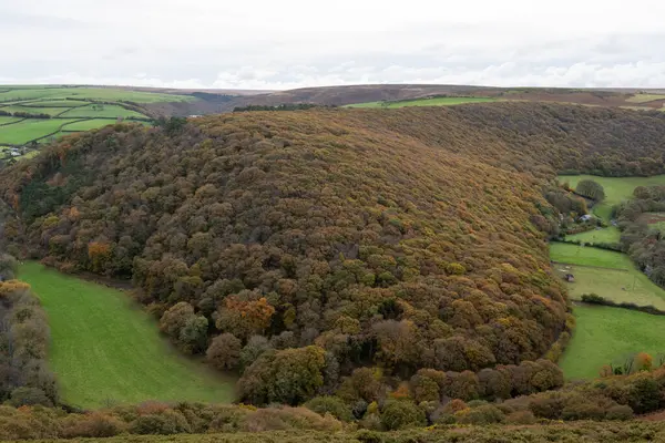 Exmoor Ulusal Parkı 'ndaki Doone Vadisi' ndeki sonbahar renklerinin manzara fotoğrafı.