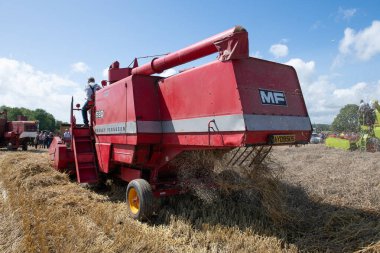 Drayton. Ilmerset. Birleşik Krallık. 19 Ağustos 2023. Massey Ferguson 520 kombine biçerdöveri dün çiftliğinde buğday topluyor.