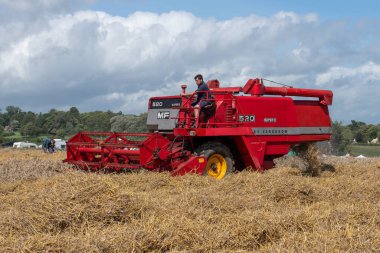 Drayton. Ilmerset. Birleşik Krallık. 19 Ağustos 2023. Massey Ferguson 520 kombine biçerdöveri dün çiftliğinde buğday topluyor.