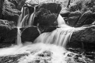 Exmoor Ulusal Parkı 'ndaki Watersmeet' te Hoar Oak Nehri 'nde uzun süre bir şelale görüldü.