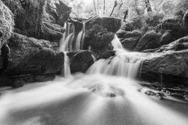 Exmoor Ulusal Parkı 'ndaki Watersmeet' te Hoar Oak Nehri 'nde uzun süre bir şelale görüldü.