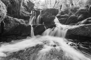 Exmoor Ulusal Parkı 'ndaki Watersmeet' te Hoar Oak Nehri 'nde uzun süre bir şelale görüldü.