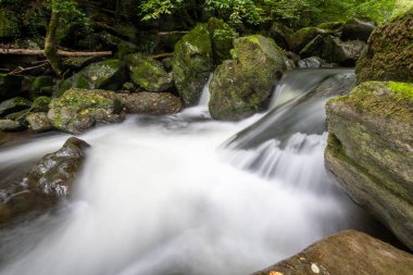 Doğu Lyn nehri üzerinde Exmoor Ulusal Parkı 'ndaki Watersmeet' te uzun süre bir şelale görüldü.
