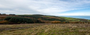 Porlock Common 'daki Sonbahar renklerinin Exmoor Natioanl Park' taki Porlock Tepesi 'nin tepesindeki panoramik fotoğrafı.