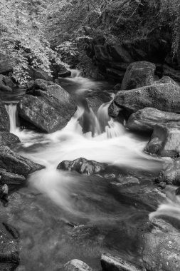 Doğu Lyn nehri üzerinde Exmoor Ulusal Parkı 'ndaki Watersmeet' te uzun süre bir şelale görüldü.