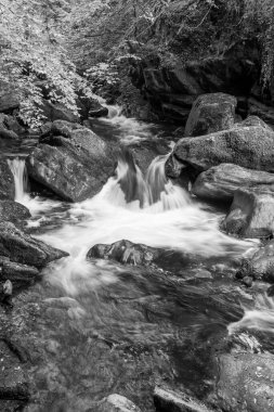 Doğu Lyn nehri üzerinde Exmoor Ulusal Parkı 'ndaki Watersmeet' te uzun süre bir şelale görüldü.
