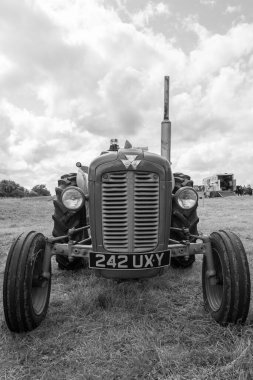 Low Ham.Somerset. Birleşik Krallık. 23 Temmuz 2023 'te restore edilen Massey Ferguson 35 traktörü Somerset buhar ve ülke fuarında sergileniyor.