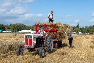 Drayton. Somerset. Birleşik Krallık. 19 Ağustos 2023. İzleyiciler, David Brown Selectamatic 990 tarafından çekilen bir karavana saman yığını yüklüyorlar.