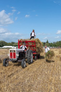 Drayton. Somerset. Birleşik Krallık. 19 Ağustos 2023. İzleyiciler, David Brown Selectamatic 990 tarafından çekilen bir karavana saman yığını yüklüyorlar.