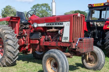 Drayton. Somerset. Birleşik Krallık. 19 Ağustos 2023. 1960 'lardan bir Farmall 806 traktörü Dünden kalma bir çiftçilik etkinliğinde sergileniyor.