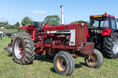 Drayton. Somerset. Birleşik Krallık. 19 Ağustos 2023. 1960 'lardan bir Farmall 806 traktörü Dünden kalma bir çiftçilik etkinliğinde sergileniyor.