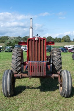 Drayton. Somerset. Birleşik Krallık. 19 Ağustos 2023. 1960 'lardan bir Farmall 806 traktörü Dünden kalma bir çiftçilik etkinliğinde sergileniyor.