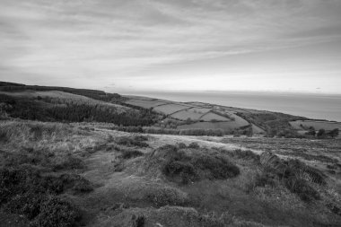 Porlock Common 'un Exmoor Natioanl Park' taki Porlock Tepesi manzarası