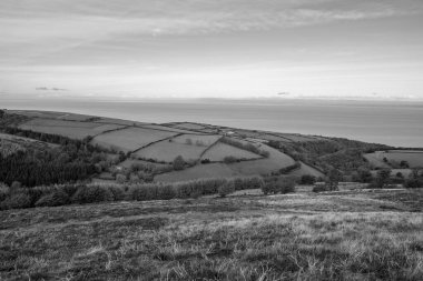 Porlock Common 'un Exmoor Natioanl Park' taki Porlock Tepesi manzarası