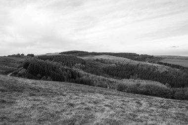 Porlock Common 'un Exmoor Natioanl Park' taki Porlock Tepesi manzarası