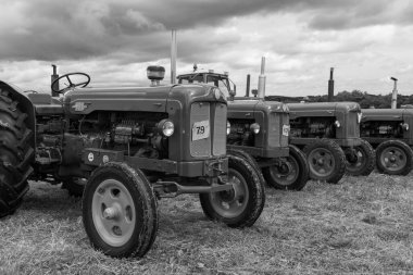 Low Ham.Somerset. Birleşik Krallık. 23 Temmuz 2023 Restore edilmiş Fordson Major traktörleri Somerset buhar ve ülke fuarında sergileniyor.