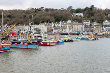 Dorset 'teki Lyme Regis limanının manzara fotoğrafı