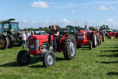 Drayton. Somerset. Birleşik Krallık. 19 Ağustos 2023 Klasik ve klasik traktörlerden oluşan bir seçim, Dünden kalma bir çiftçilik etkinliğinde arenaya girmek için sıraya giriyor.