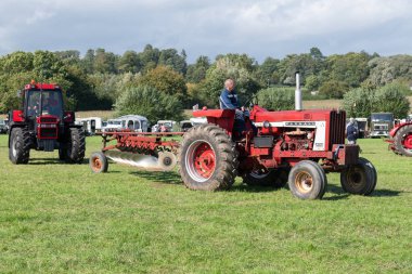 Drayton. Somerset. Birleşik Krallık. 19 Ağustos 2023. Farmall 806 traktörü dünün çiftçilik etkinliklerinde bir sabana bağlandı.