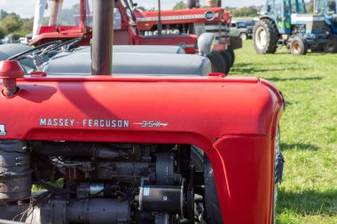 Drayton. Somerset. Birleşik Krallık. 19 Ağustos 2023 'te restore edilen Massey Ferguson 35, Dünün Çiftçi Etkinliği' nde sergileniyor.