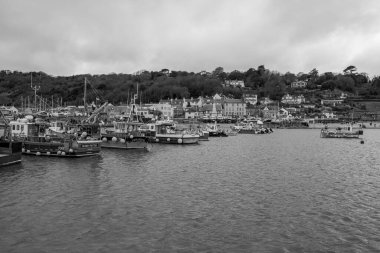 Dorset 'teki Lyme Regis limanının manzara fotoğrafı