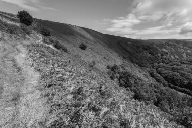 Exmoor Ulusal Parkı 'ndaki Doone Vadisi' nin manzara fotoğrafı.