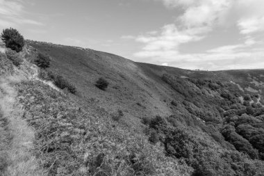 Exmoor Ulusal Parkı 'ndaki Doone Vadisi' nin manzara fotoğrafı.