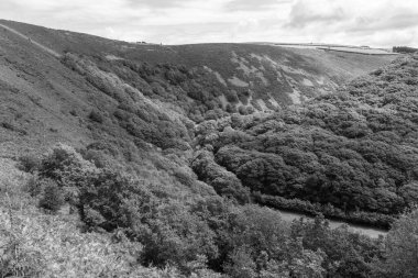 Exmoor Ulusal Parkı 'ndaki Doone Vadisi' nin manzara fotoğrafı.
