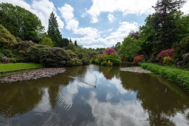 Biddulph.Staffordshire.Birleşik Krallık 1 Haziran 2023 Biddulph Grange 'da çiçek açtı.