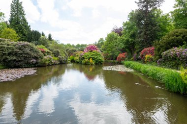 Biddulph.Staffordshire.Birleşik Krallık 1 Haziran 2023 Biddulph Grange 'da çiçek açtı.