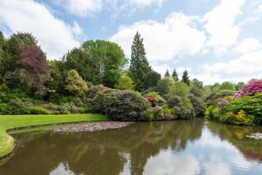 Biddulph.Staffordshire.Birleşik Krallık 1 Haziran 2023 Biddulph Grange 'da çiçek açtı.