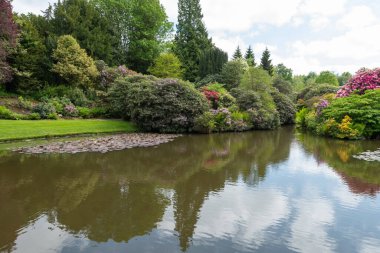 Biddulph.Staffordshire.Birleşik Krallık 1 Haziran 2023 Biddulph Grange 'da çiçek açtı.