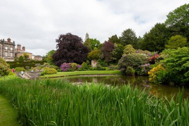 Biddulph.Staffordshire.Birleşik Krallık 1 Haziran 2023 Biddulph Grange 'da çiçek açtı.