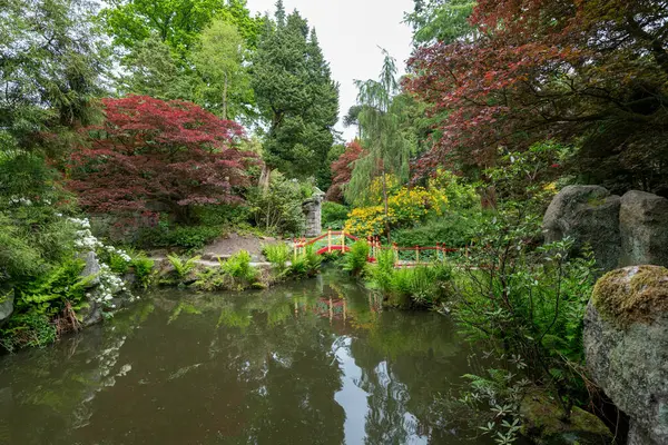 Biddulph Staffordshire Reino Unido Junio 2023 Foto Del Jardín Chino — Foto de Stock