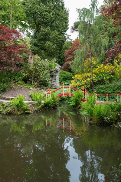 Biddulph Staffordshire Reino Unido Junio 2023 Foto Del Jardín Chino — Foto de Stock
