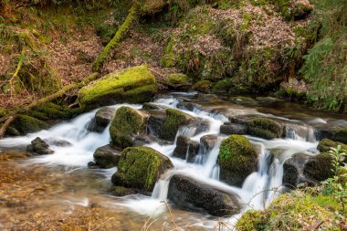 Exmoor Ulusal Parkı 'ndaki Watersmeet' te Hoar Oak Nehri 'nde uzun süre bir şelale görüldü.