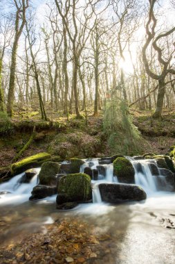 Long exposure of a waterfall on the Hoar Oak Water river at Watersmeet in Exmoor National Park clipart