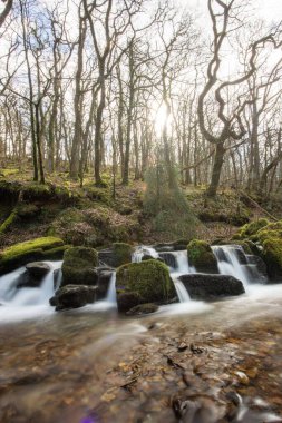 Exmoor Ulusal Parkı 'ndaki Watersmeet' te Hoar Oak Nehri 'nde uzun süre bir şelale görüldü.