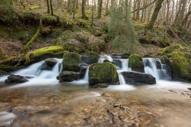 Exmoor Ulusal Parkı 'ndaki Watersmeet' te Hoar Oak Nehri 'nde uzun süre bir şelale görüldü.