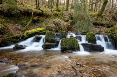 Exmoor Ulusal Parkı 'ndaki Watersmeet' te Hoar Oak Nehri 'nde uzun süre bir şelale görüldü.